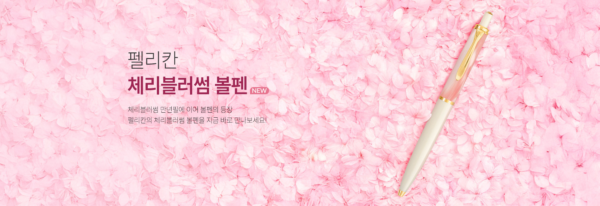 = �縮ĭ ���� ü��������