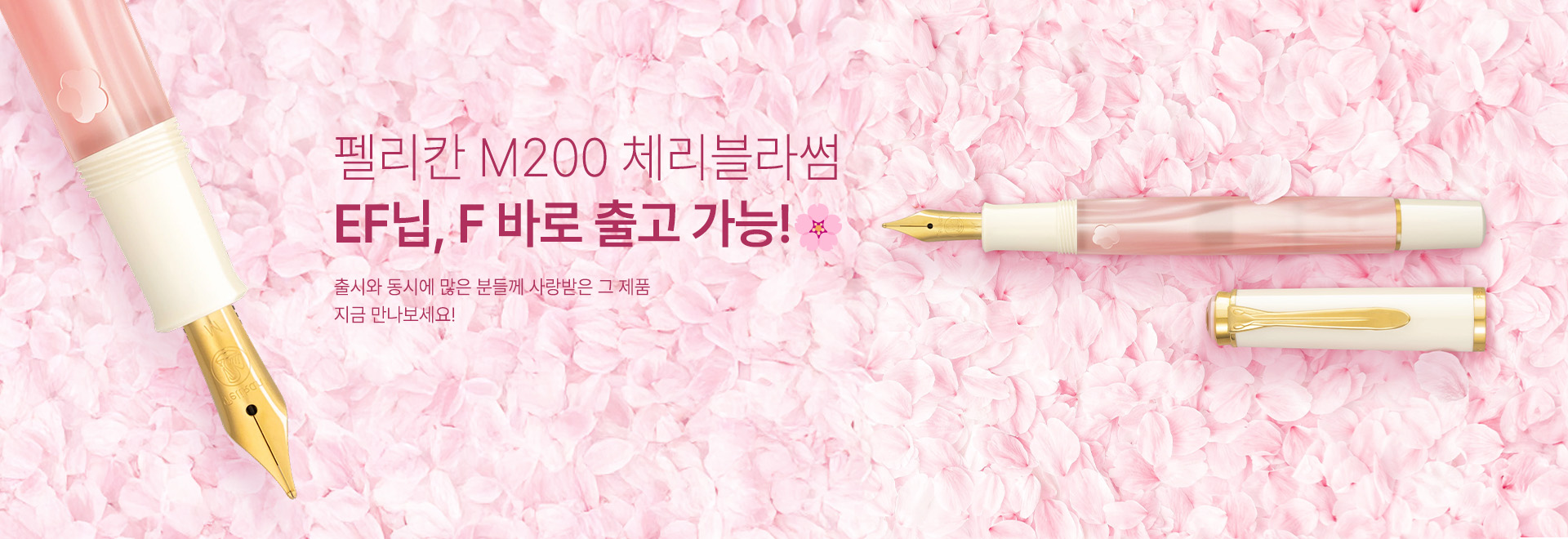 =ü�������